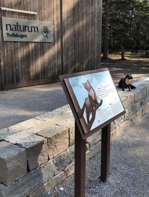 Naturum Trollskogen