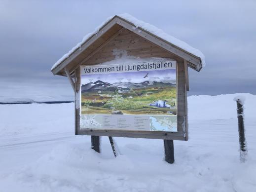 Ljungdalen