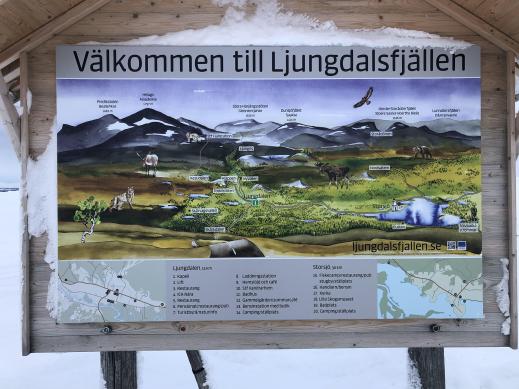 Ljungdalen